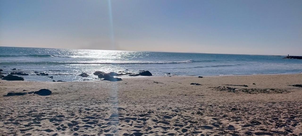 Studio Cap D'Agde La Grande Voile المظهر الخارجي الصورة